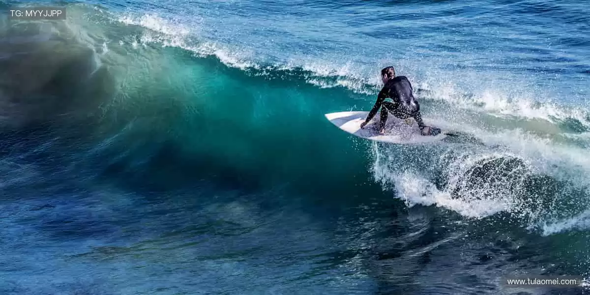 🔥热血赛事，巅峰对决！一键购票，见证冠军诞生🏆
