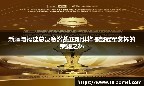 新疆与福建总决赛激战正酣谁将捧起冠军奖杯的荣耀之杯