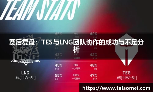 赛后复盘：TES与LNG团队协作的成功与不足分析