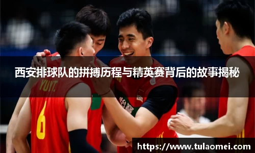 西安排球队的拼搏历程与精英赛背后的故事揭秘