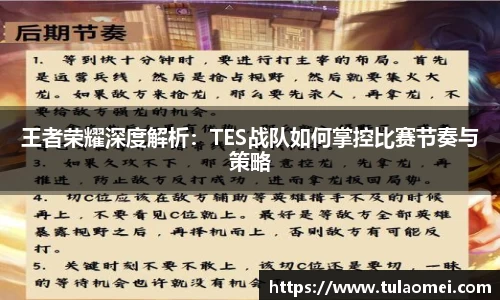 王者荣耀深度解析：TES战队如何掌控比赛节奏与策略